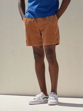 Pacsun Volley Short
